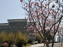 -八大山人梅湖景区