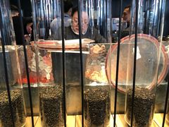 -喜茶(北京三里屯太古里店)