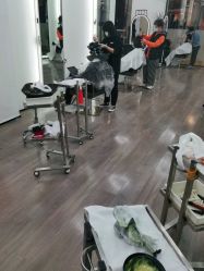 点击看大图 -ON STAR SALON