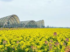 -中国天府农业博览园