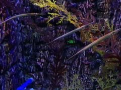 -石林冰雪海洋世界