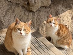 -终南山南五台景区