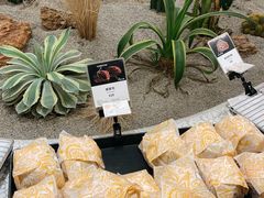 -OUR Bakery(SKP-S店)