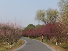 -西溪国家湿地公园