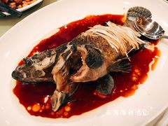 清蒸海石斑-东海海鲜酒家(中信广场店)