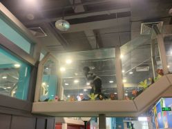 -多元宝贝世界(曲江彩虹谷店)