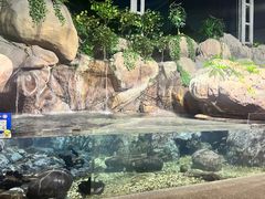 -上海海洋水族馆
