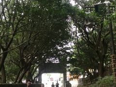 -普陀山风景区-佛顶山