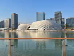 -金沙湖公园