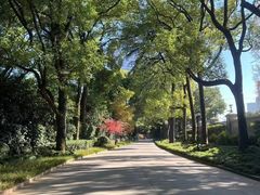 -上海虹桥迎宾馆