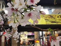 -绿地风尚天地广场