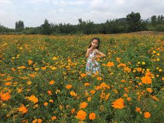 -北京东方普罗旺斯薰衣草庄园