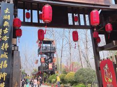 -合肥滨湖国家森林公园