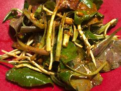 -雀舞云南菜(天津天河城购物中心店)