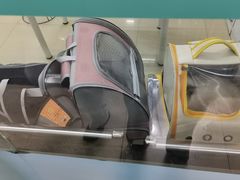 -瑞派动物医院·猫专科·至诚(江南中分院)