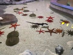 -福州罗源湾海洋世界旅游区