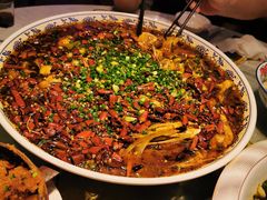 -新概念来凤鱼(璧山店)