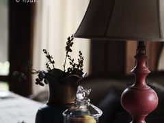 -一棵树·意大利西餐厅One Tree(新城店)