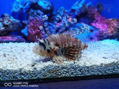 -上海海洋水族馆