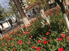 -绿茶餐厅(华联万柳店)