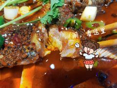 -沈胖子音乐烤吧·炒菜·龙虾(环城东路店)