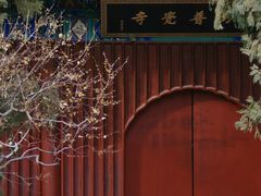 -国家植物园