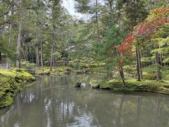 -西芳寺(苔寺)