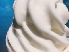 -野人先生现做冰淇淋(北京环宇荟店)