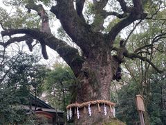 -热田神宫
