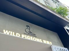 -野鸽子咖啡(航空路店)
