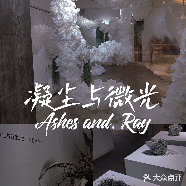 【深圳看展】高级感满满的cbd花展,周末安排,再不去就闭展了