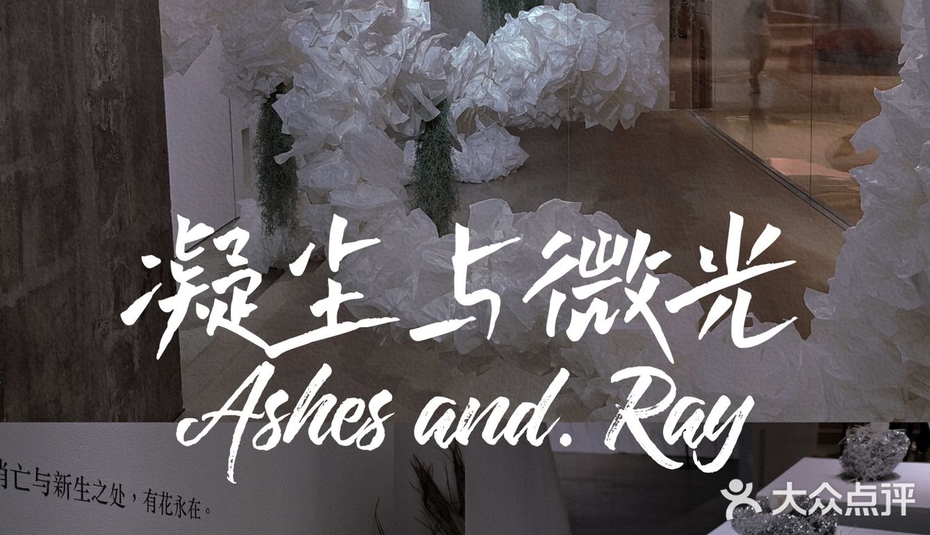 【深圳看展】高级感满满的cbd花展，周末安排，再不去就闭展了