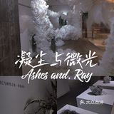 【深圳看展】高级感满满的cbd花展，周末安排，再不去就闭展了