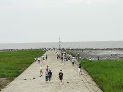 -南汇嘴观海公园