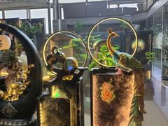 -朝来春花卉市场-东停车场