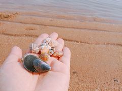 -北戴河东海水浴场