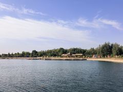 -金塔沙漠胡杨林景区