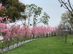 -福建鲤鱼洲酒店