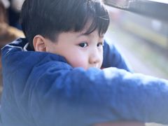 -合肥滨湖国家森林公园