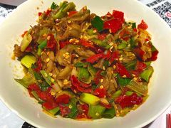 鸭掌筋-壹盏灯(惠农店)