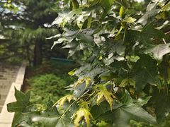 -大连植物园