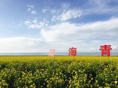 -青海湖国家重点风景名胜区