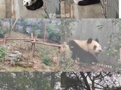 -红山森林动物园