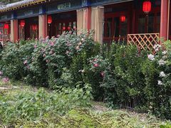 -中卫御苑福膳·养生局(圆明园店)