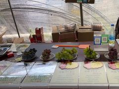 -马陆小张葡萄园农家乐