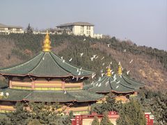 -龙口南山旅游景区