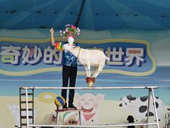 -光明农场大观园