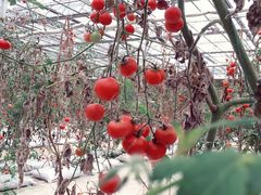 -云幽谷旅游区
