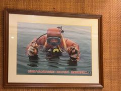 -南山小渔村•大连海鲜大连菜(七七街店)