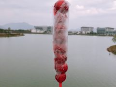 -琅岐红光湖公园